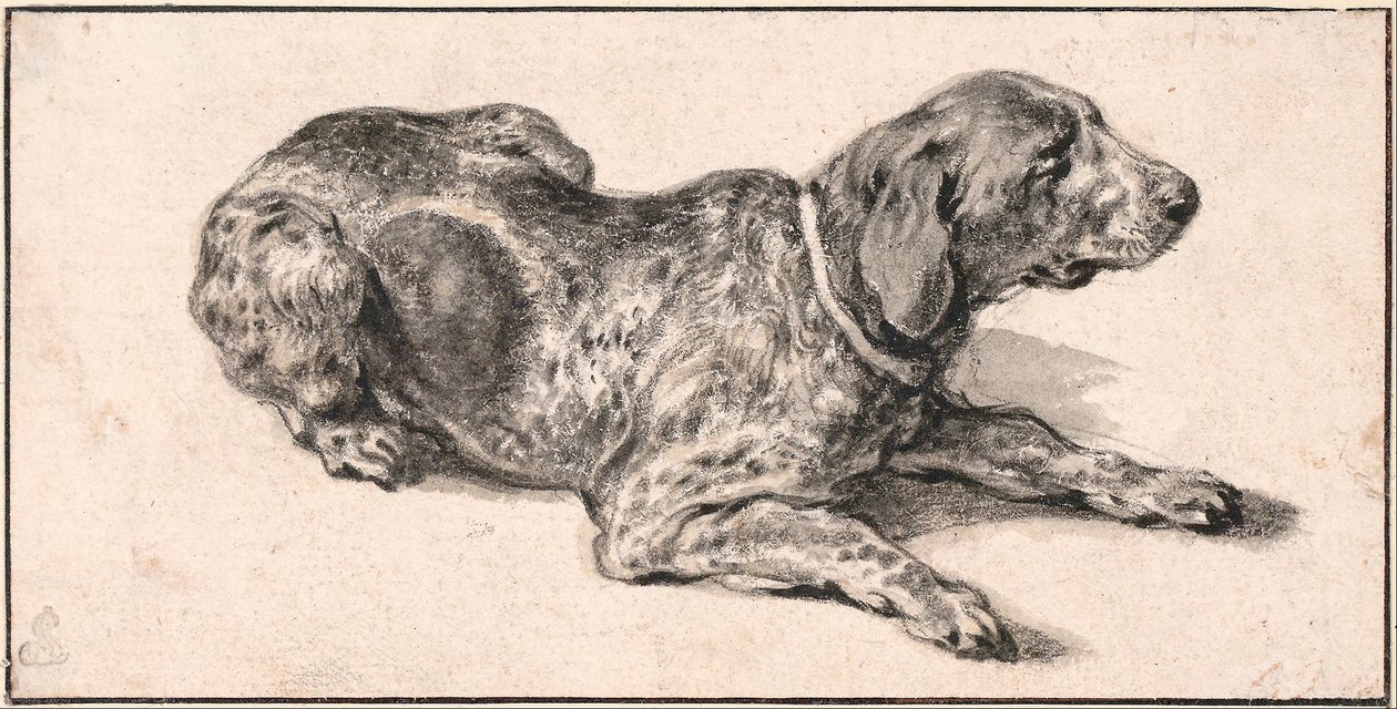 Liegender Hund von Aelbert Cuyp