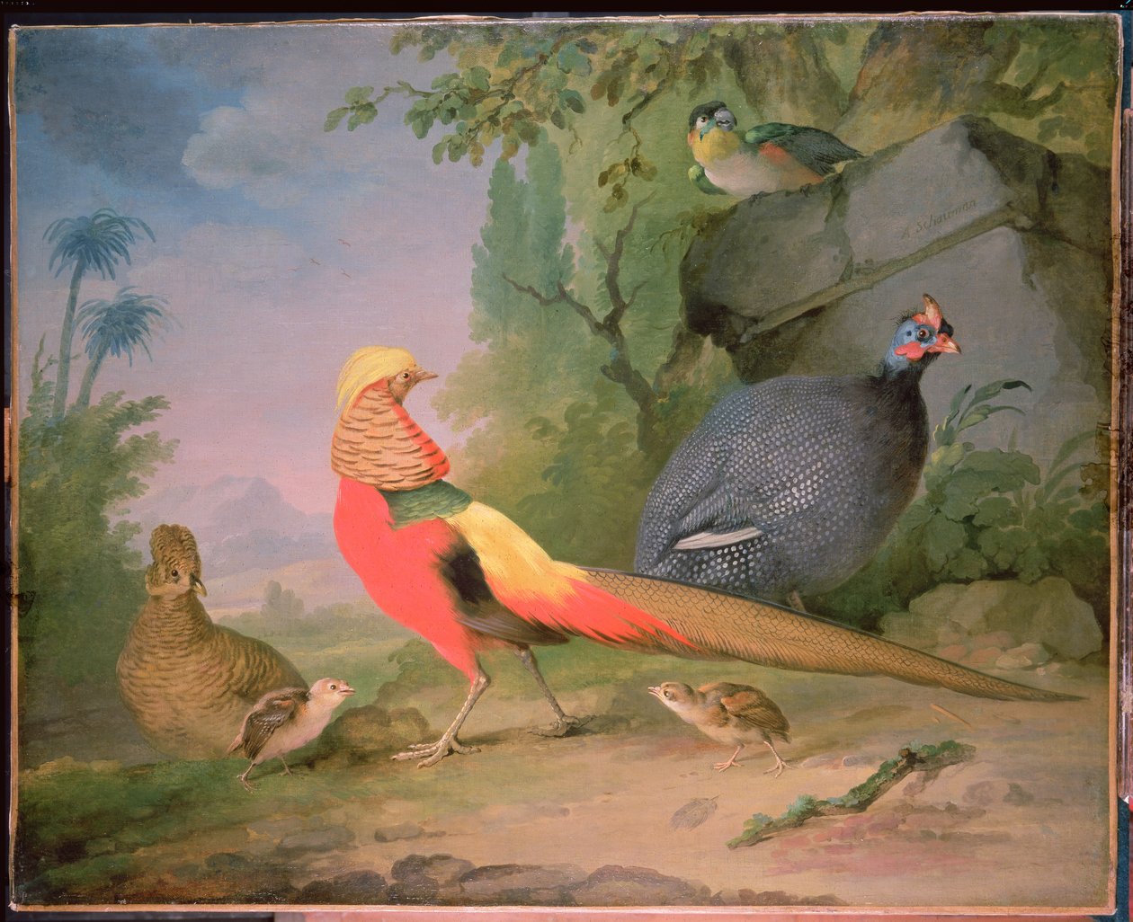 Wildgeflügel von Aert Schouman
