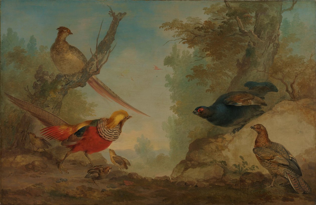 Fasane von Aert Schouman