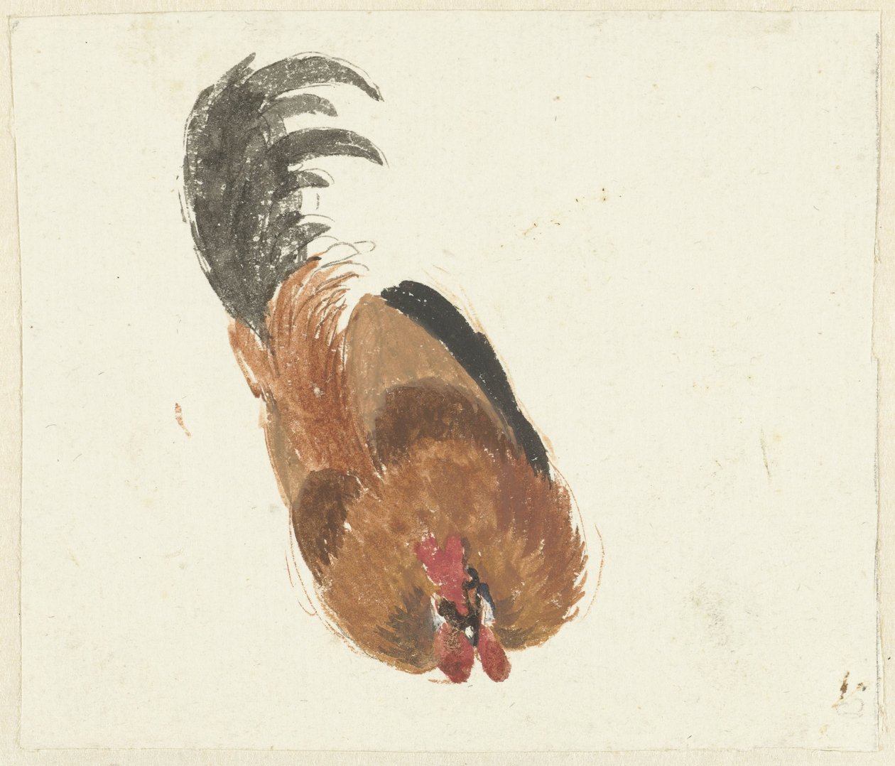 Studie eines toten Hahns von Aert Schouman