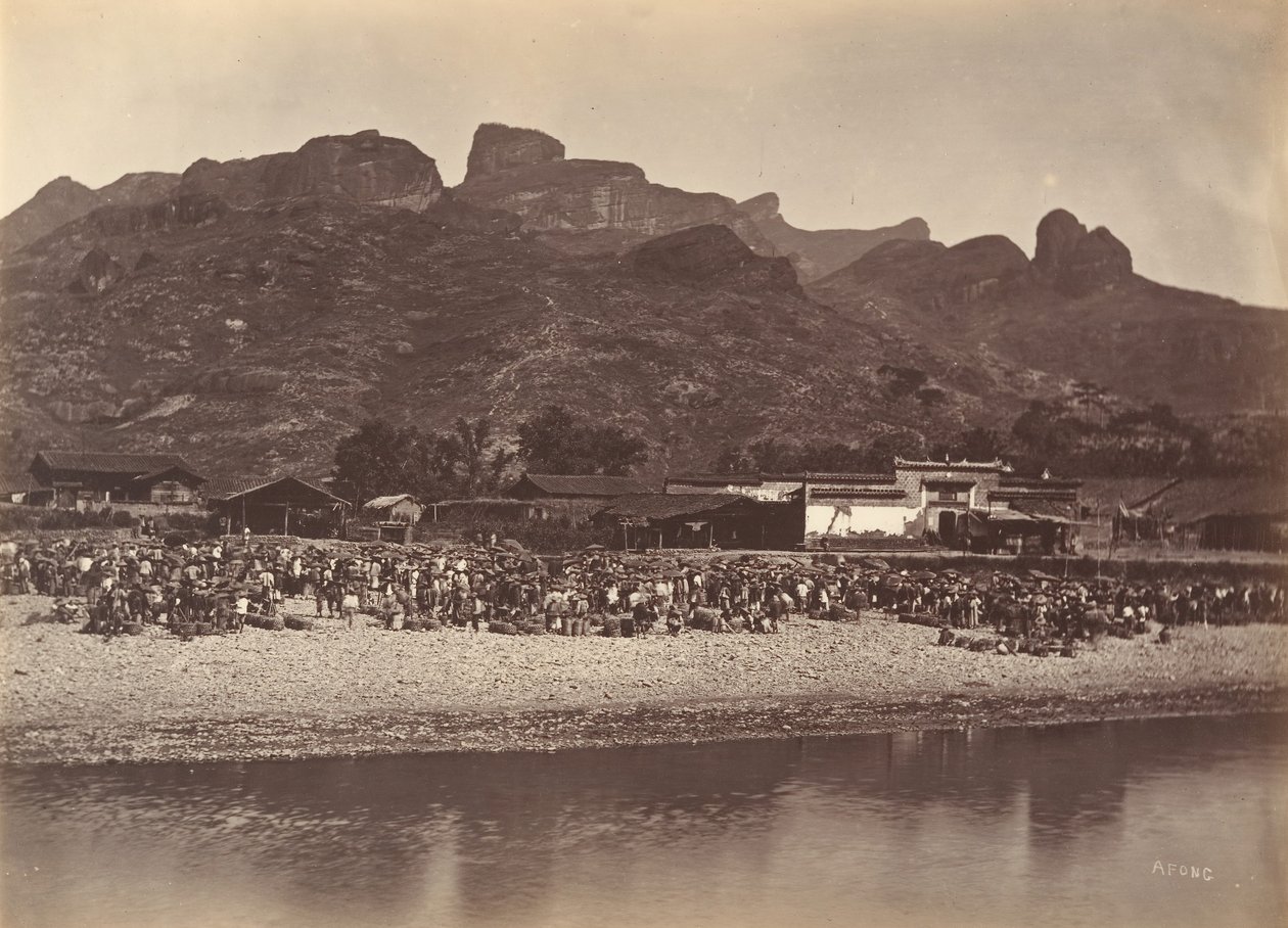 Entenmarkt, ca. 1869 von Afong Lai