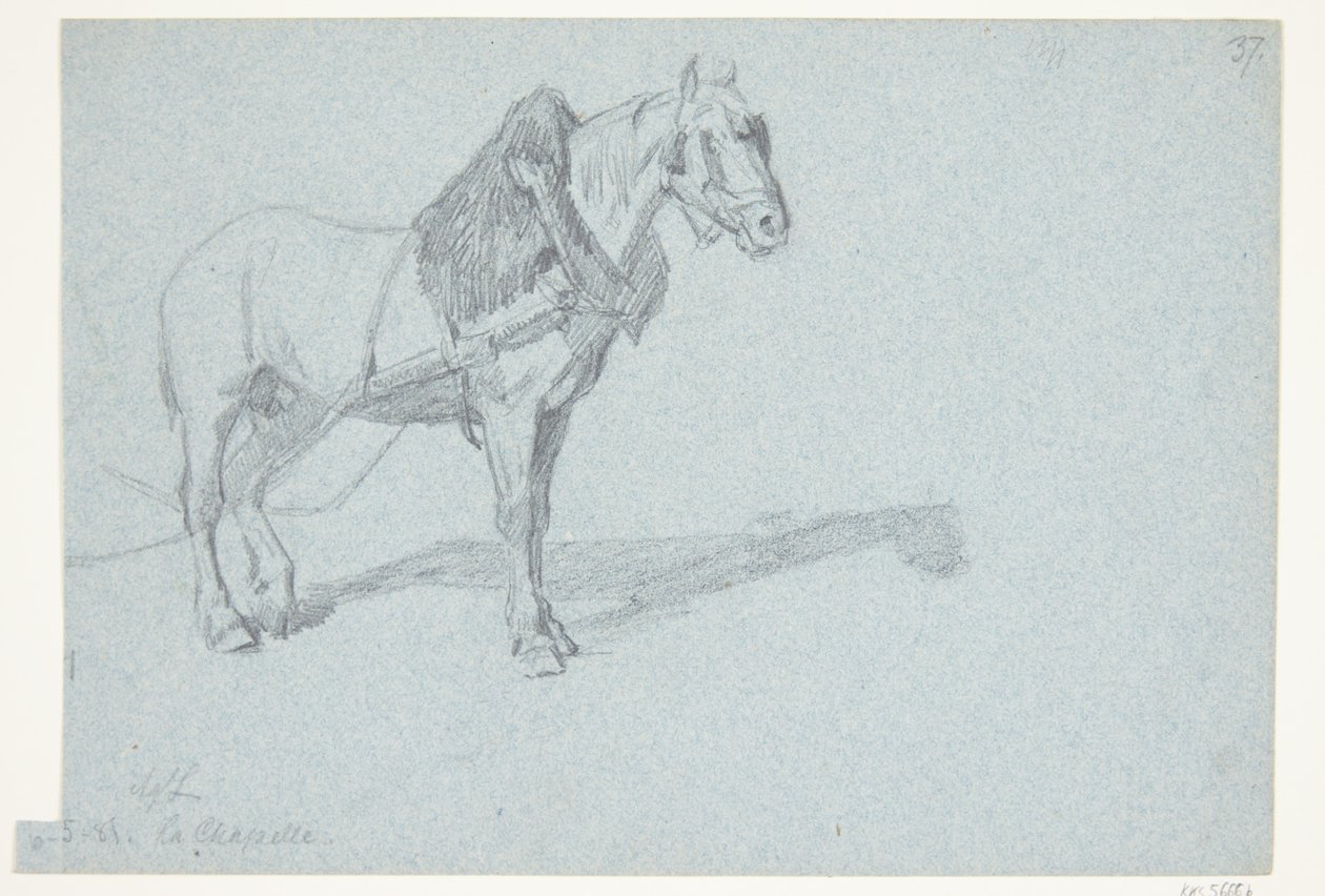 Ein Pferd von Agnes Lunn