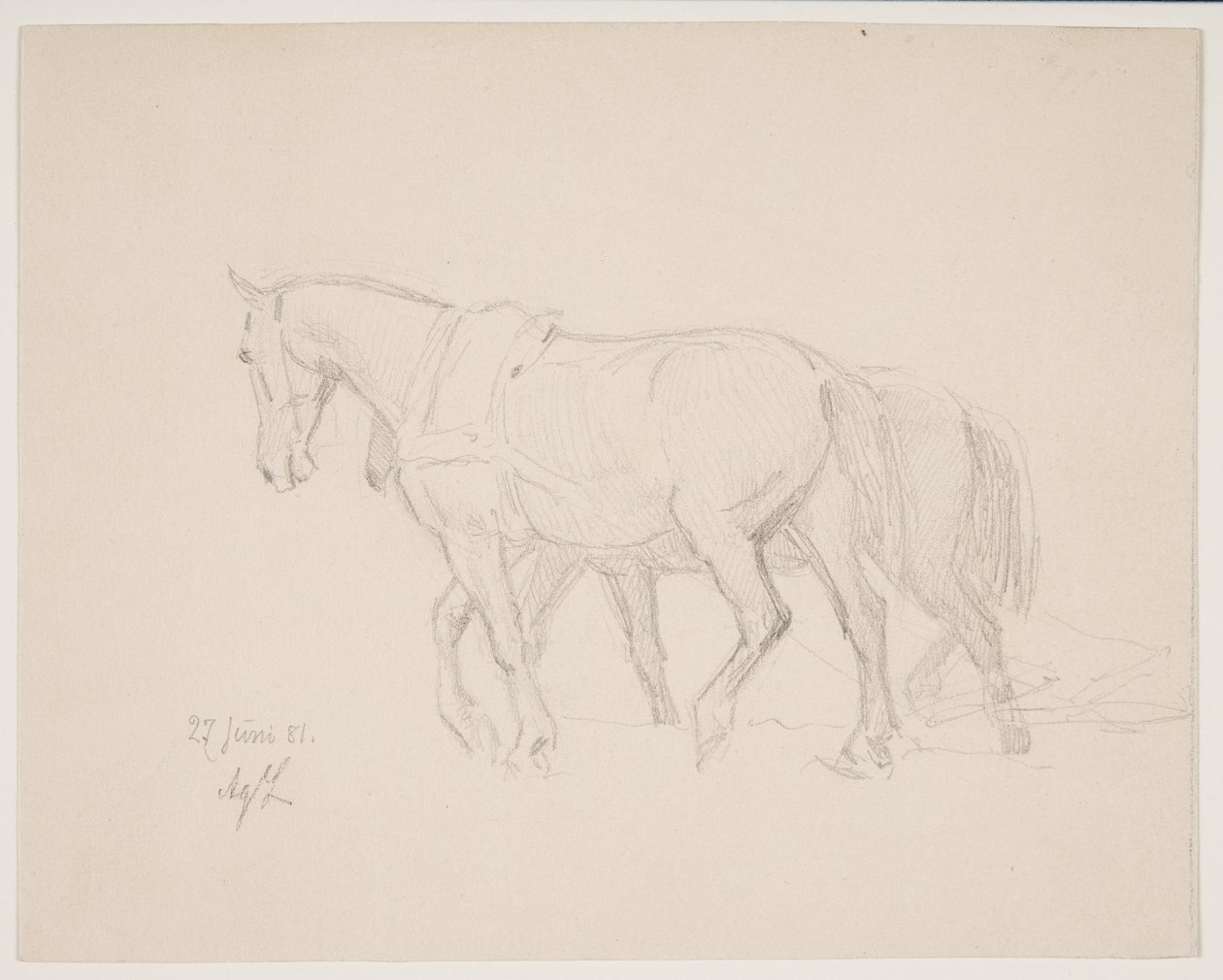 Zu Pferd von Agnes Lunn