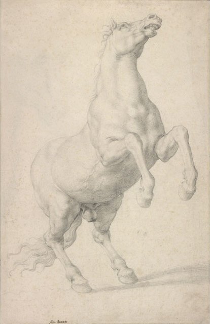 Steigendes Pferd von Agnolo Bronzino
