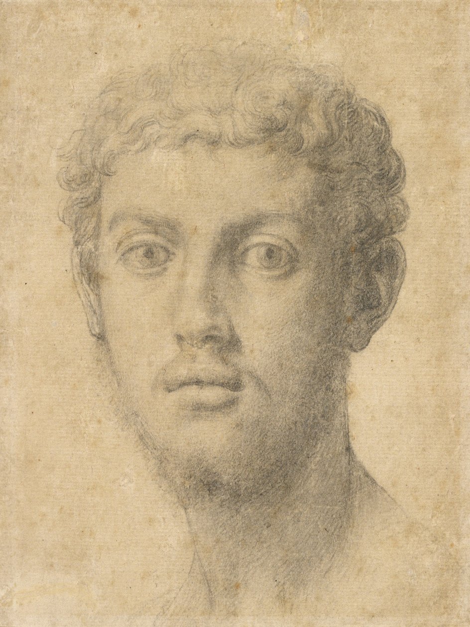 Kopf eines Mannes von Agnolo Bronzino