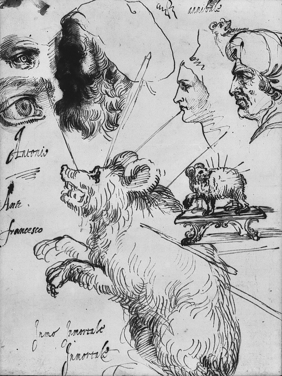 Studien für das Impresa der Familie Carracci von Agostino Carracci