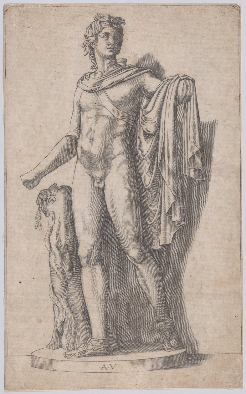 Apollo, ca. 1514-36 von Agostino Veneziano