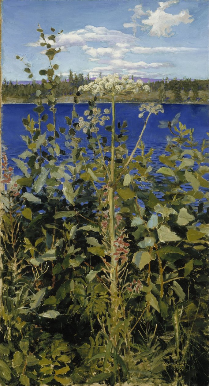 Wilde Engelwurz von Akseli Gallen Kallela