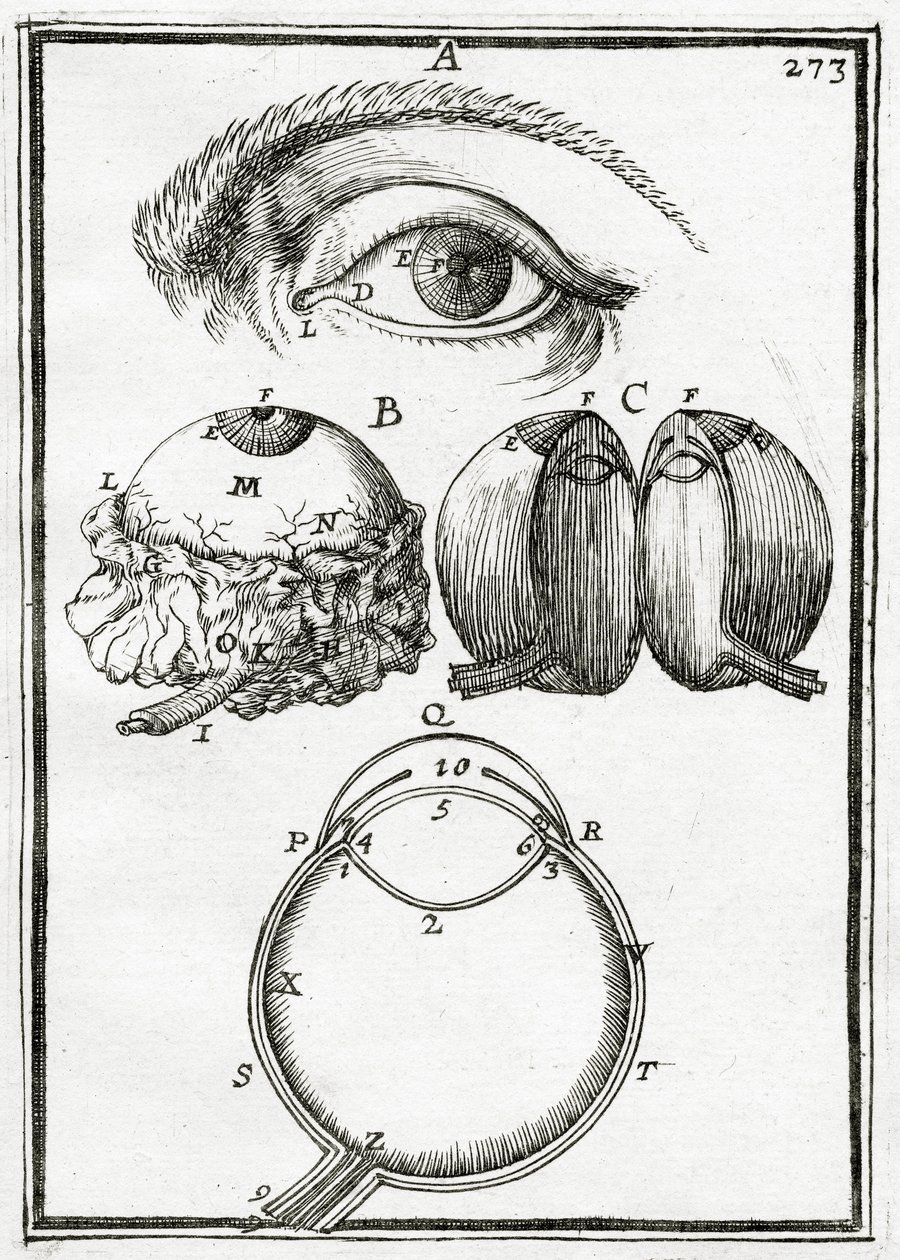 Illustration aus La Geometrie Pratique 1702 von Alain Manesson Mallet