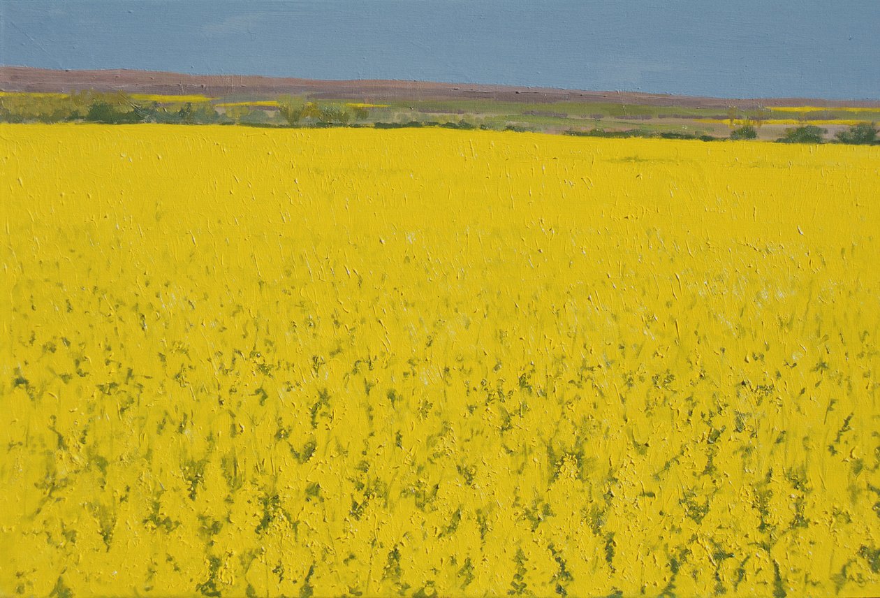 Rapsfeld, 2003 von Alan Byrne