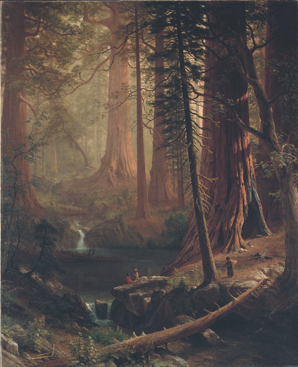 Riesige Redwood-Bäume von Kalifornien von Albert Bierstadt