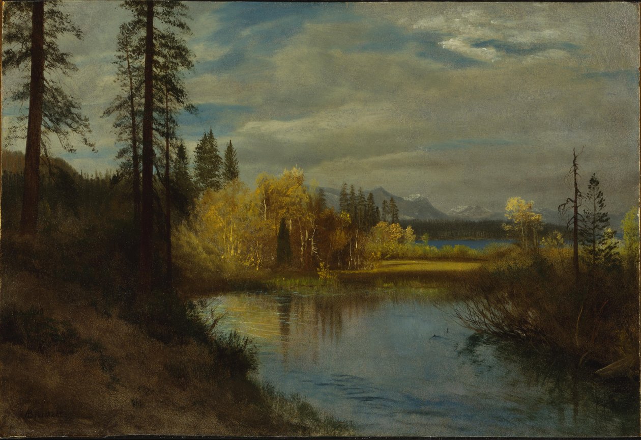 Auslass am Lake Tahoe von Albert Bierstadt