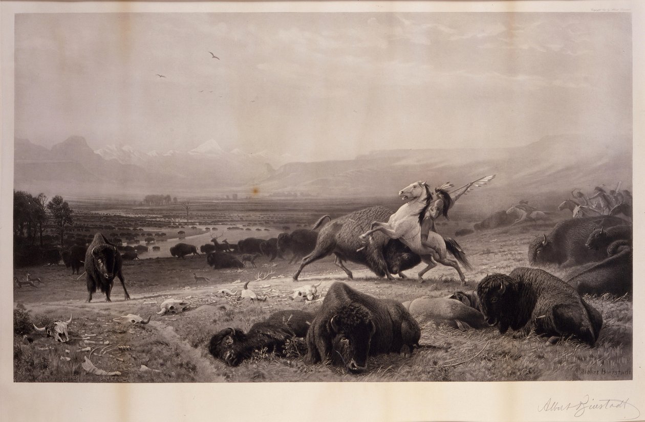 Der letzte Büffel von Albert Bierstadt