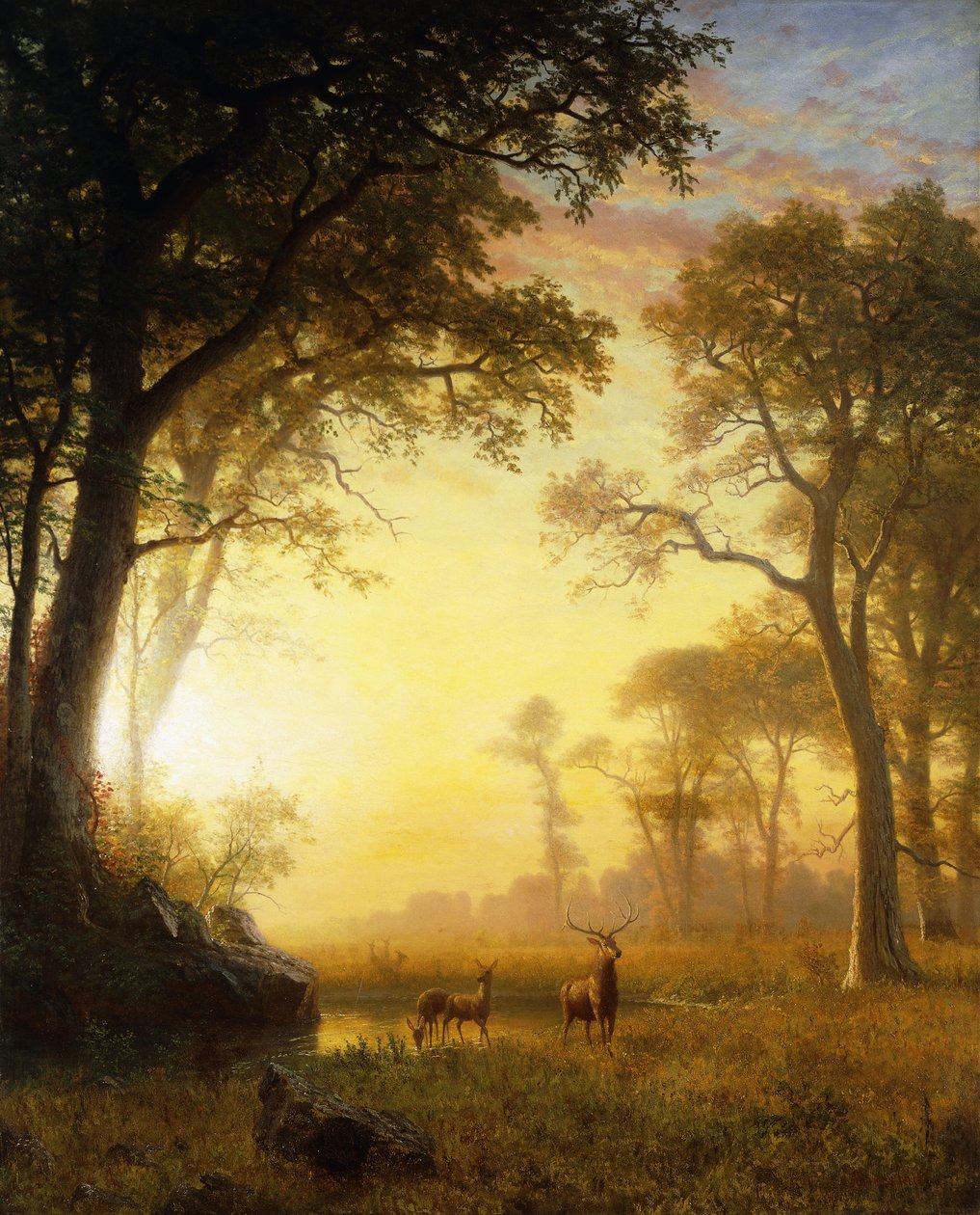 Licht im Wald von Albert Bierstadt