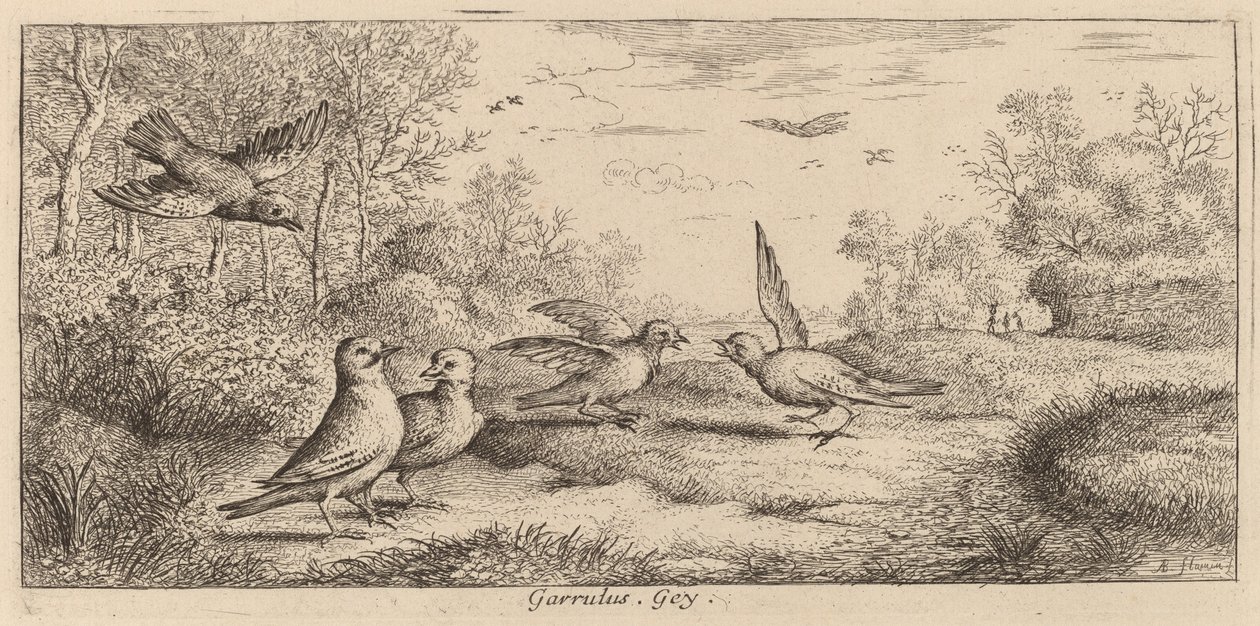 Garrulus, der Eichelhäher von Albert Flamen