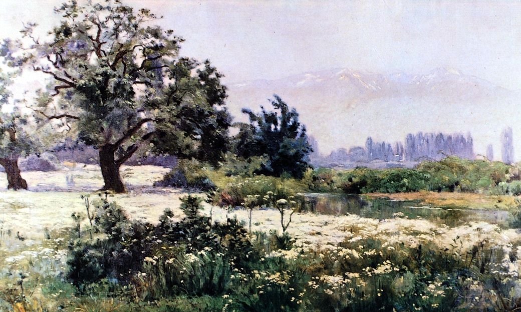 Blühende Manzanillas von Alberto Valenzuela Llanos