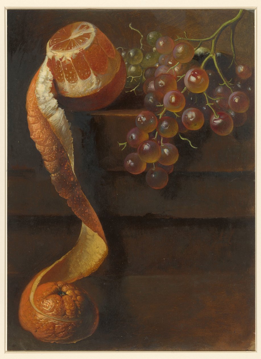 Stillleben mit geschälter Orange und Trauben von Albertus Steenbergen