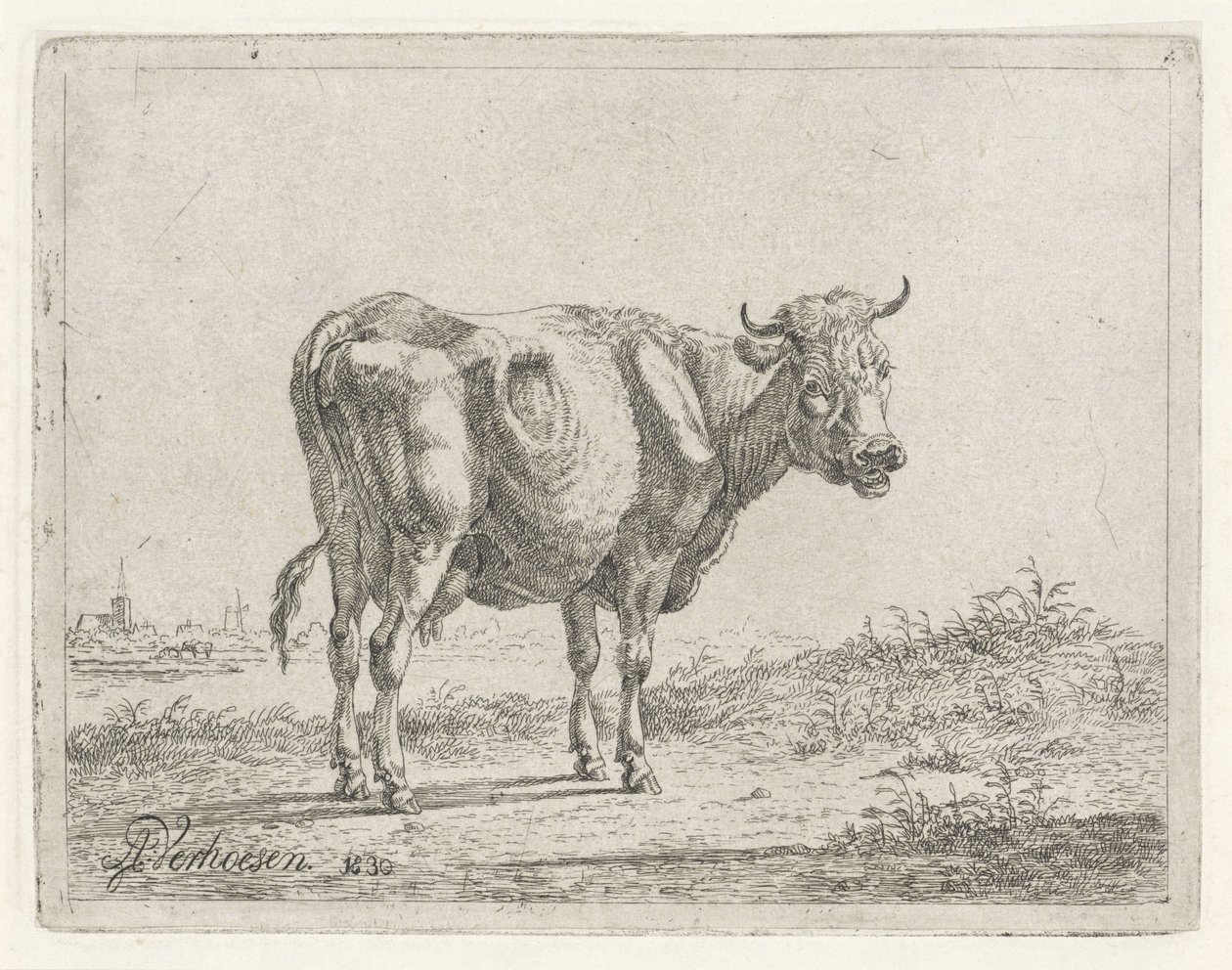 Stehende Kuh von Albertus Verhoesen