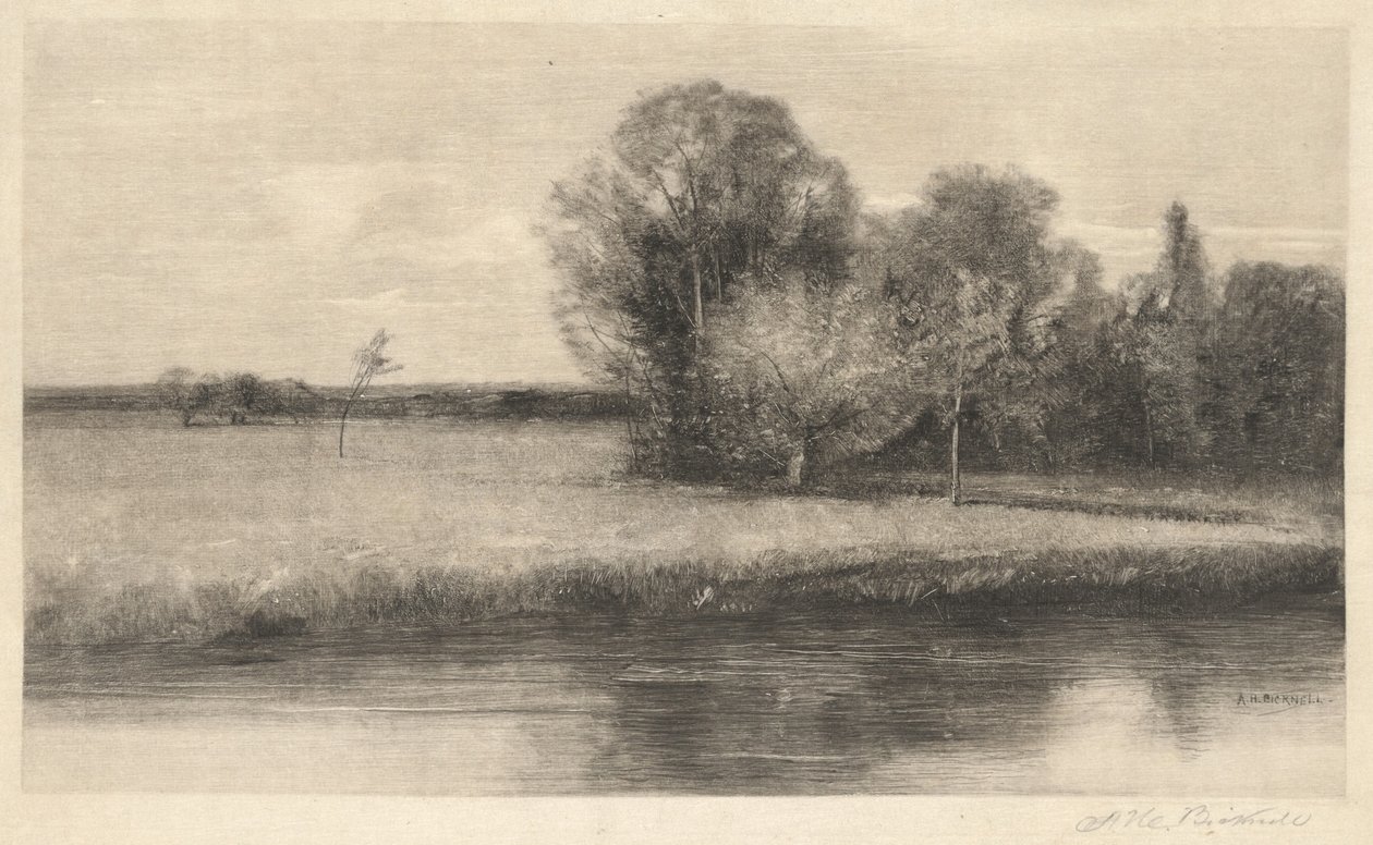 Eine sonnenbeschienene Wiese an einem Fluss von Albion Bicknell