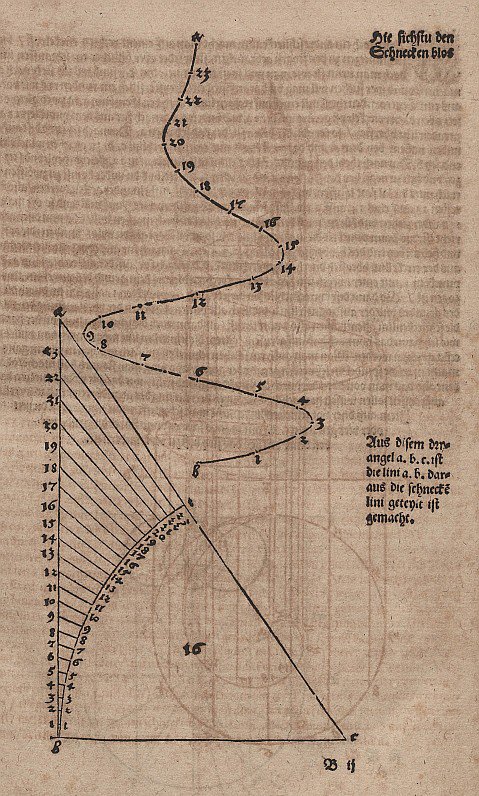 Konische Spirale ohne Hilfslinien von Albrecht Dürer