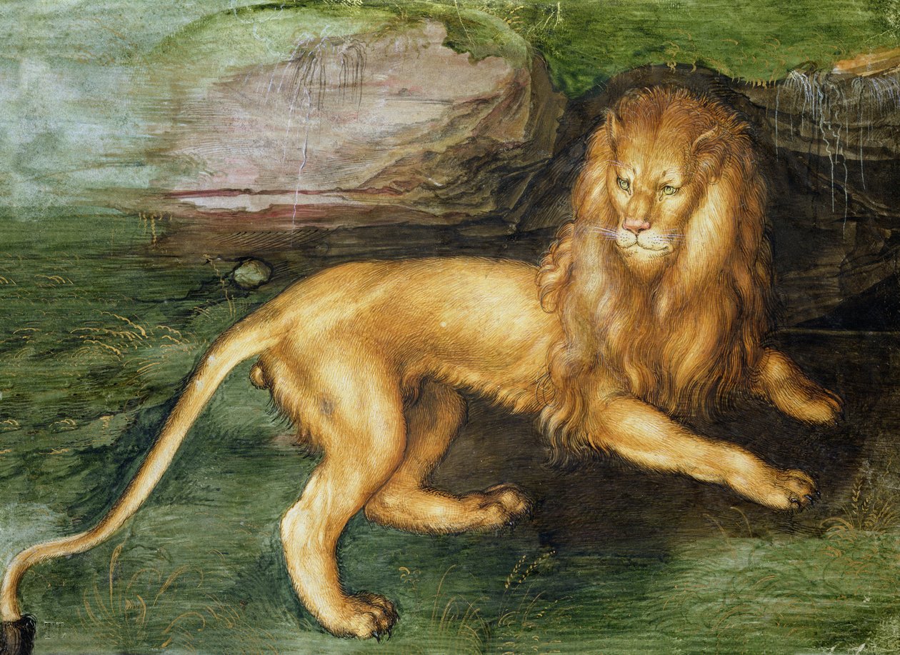 Löwe von Albrecht Dürer