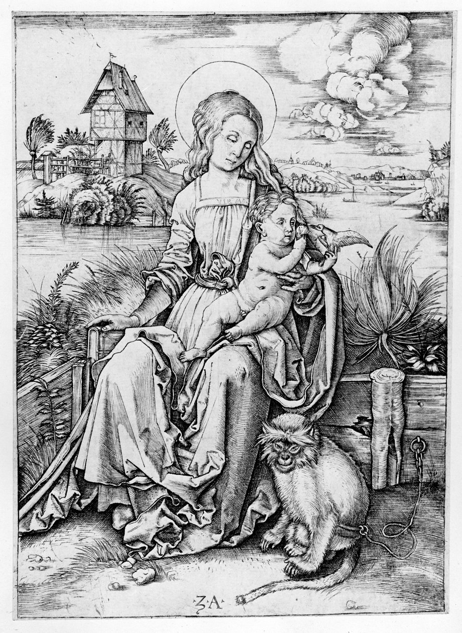 Madonna mit dem Affen von Albrecht Dürer