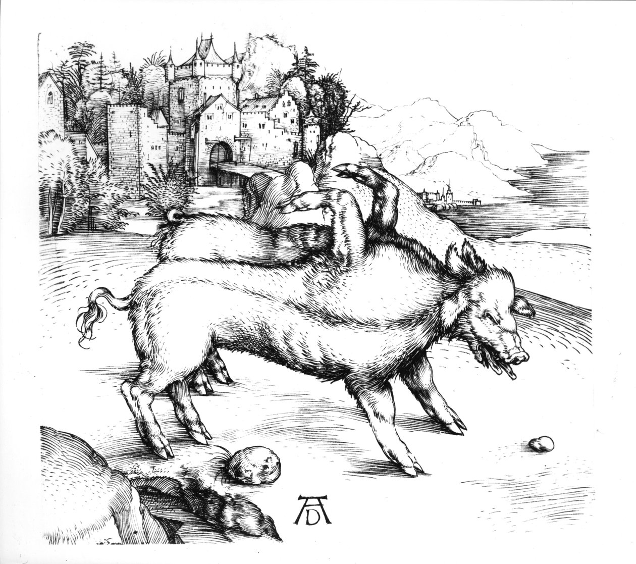 Monströses Schwein von Albrecht Dürer