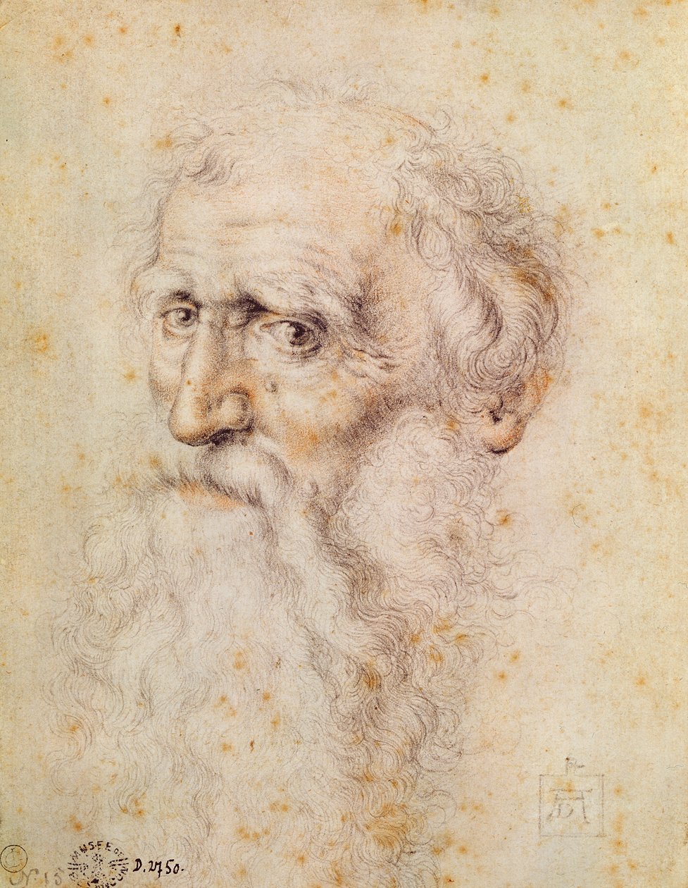 Porträt eines bärtigen alten Mannes von Albrecht Dürer