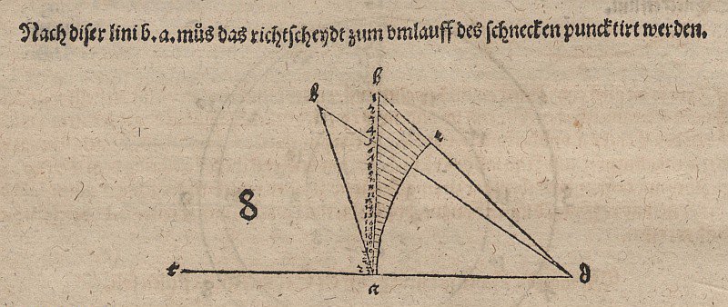 Tangens-Spirale und Verwandte von Albrecht Dürer