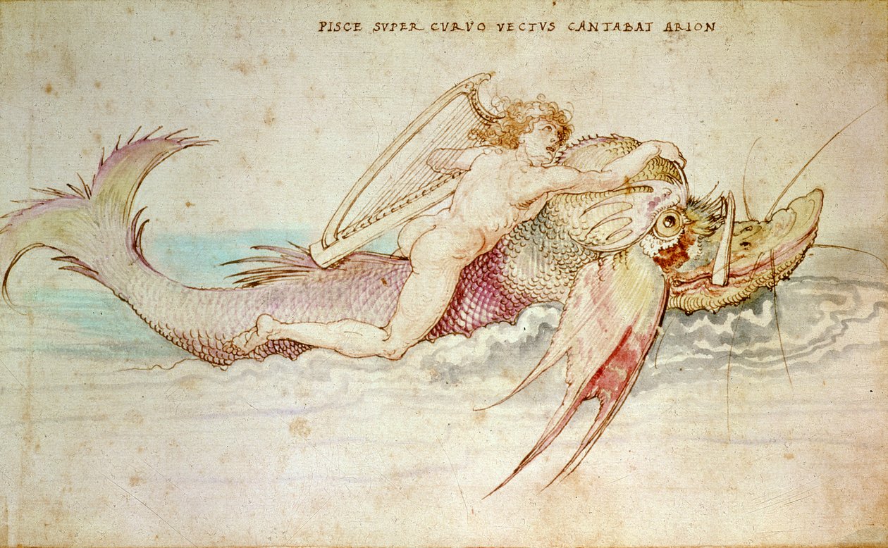 Arion von Albrecht Dürer