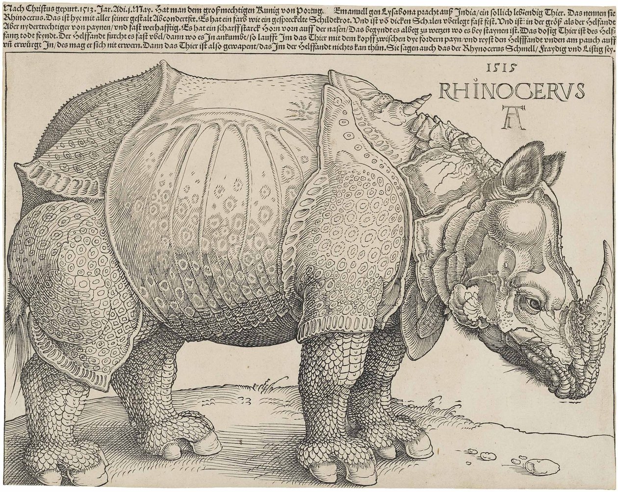 Das Nashorn, 1515 von Albrecht Dürer