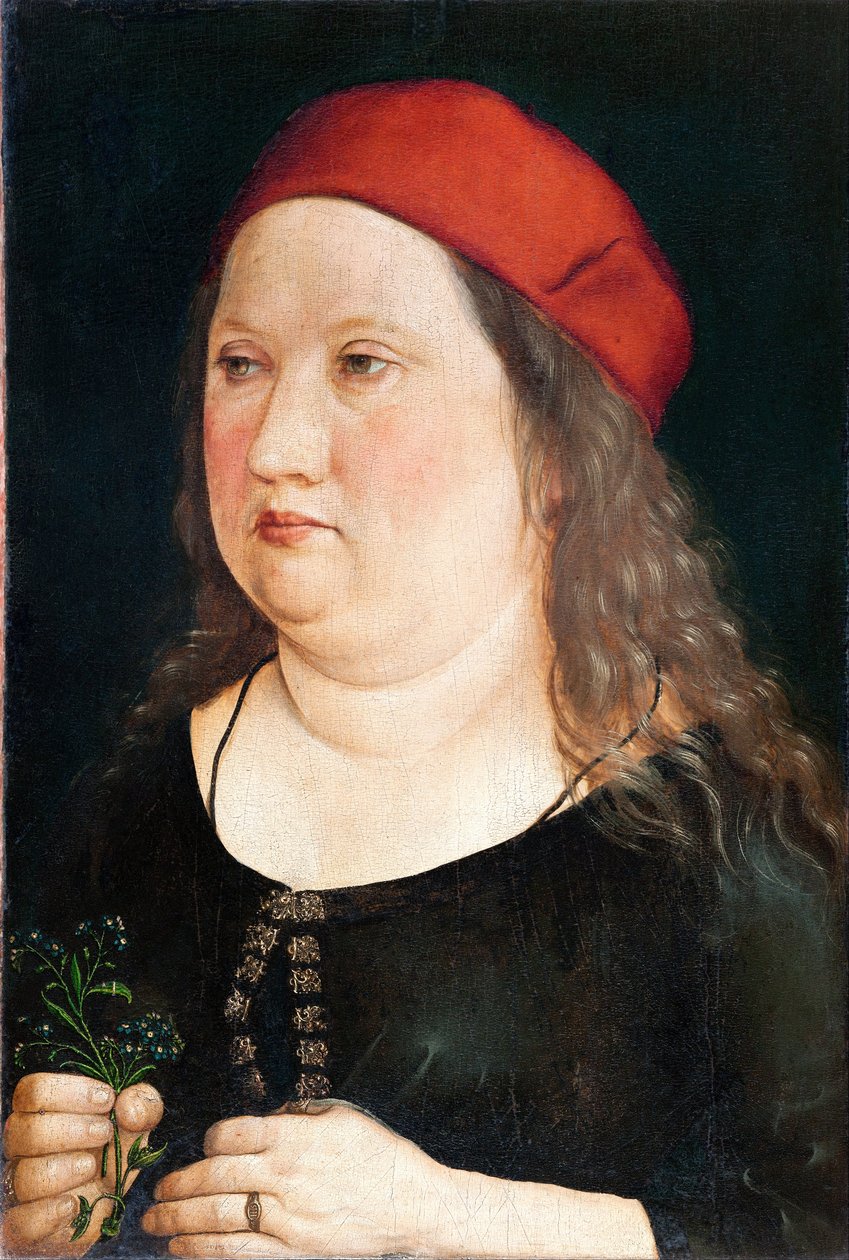 Unbekannter Dargestellter von Albrecht (attr. to) Durer or Duerer