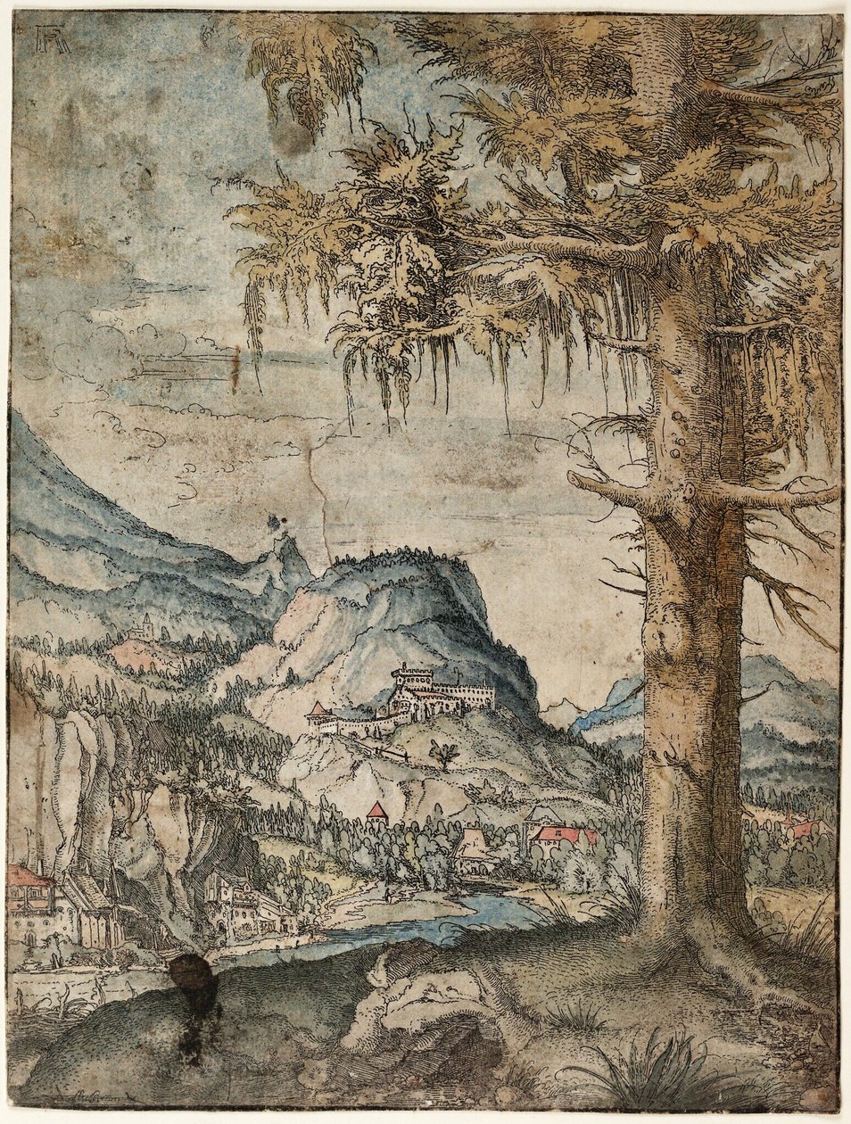 Die Große Fichte von Albrecht Altdorfer