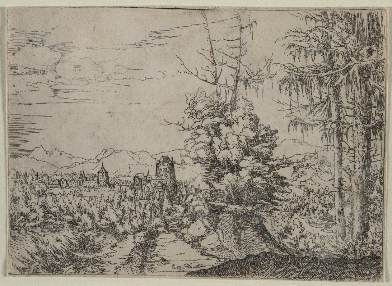 Landschaft mit zwei Kiefern von Albrecht Altdorfer