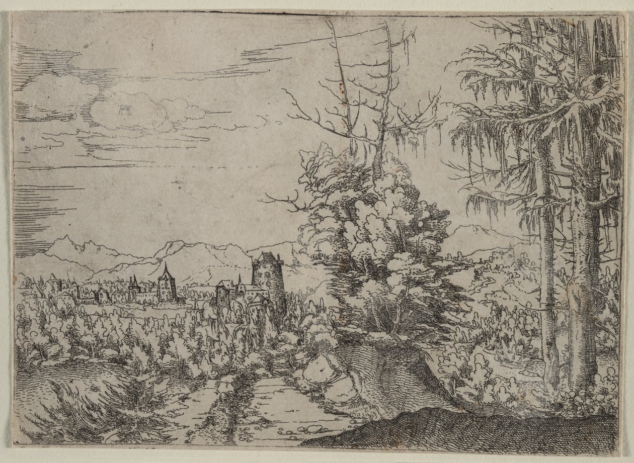 Landschaft mit zwei Kiefern von Albrecht Altdorfer
