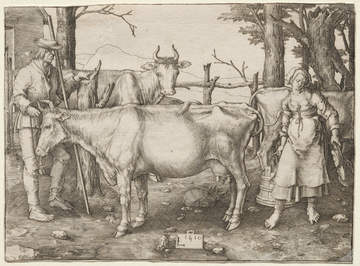 Die Milchmagd von Albrecht Altdorfer