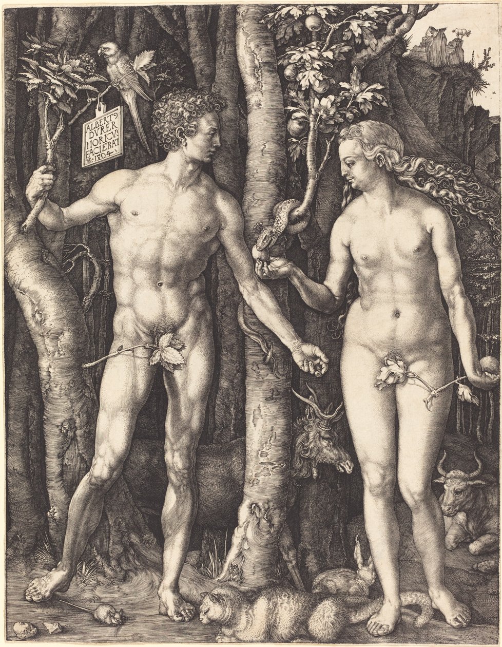 Adam und Eva von Albrecht Dürer