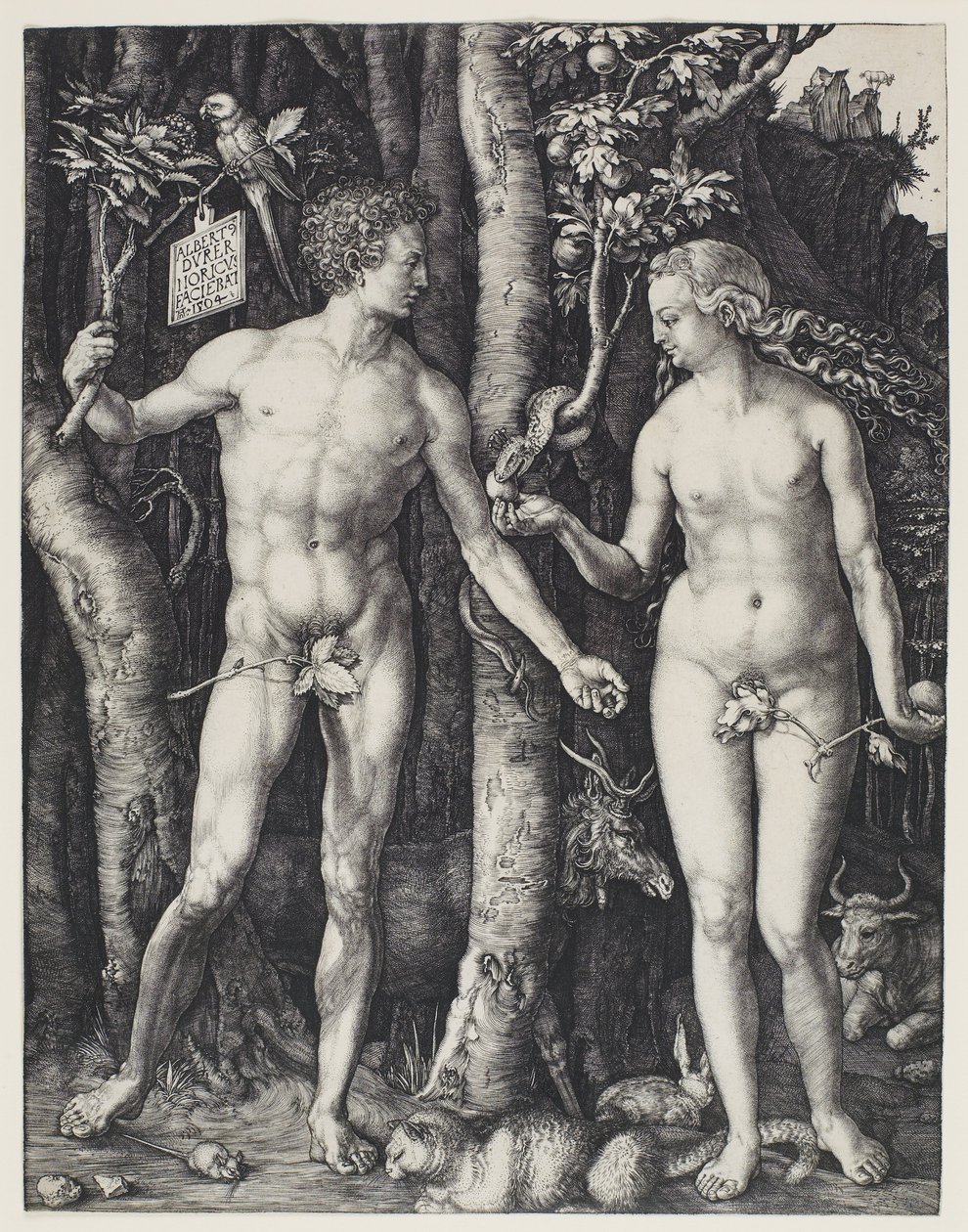 Adam und Eva von Albrecht Dürer