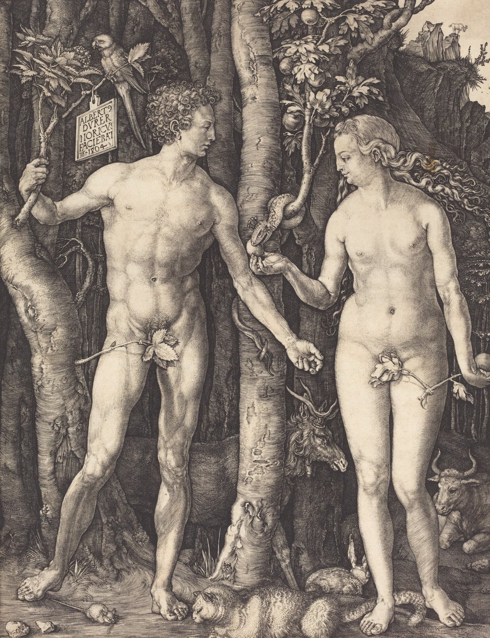 Adam und Eva, 1504 von Albrecht Dürer