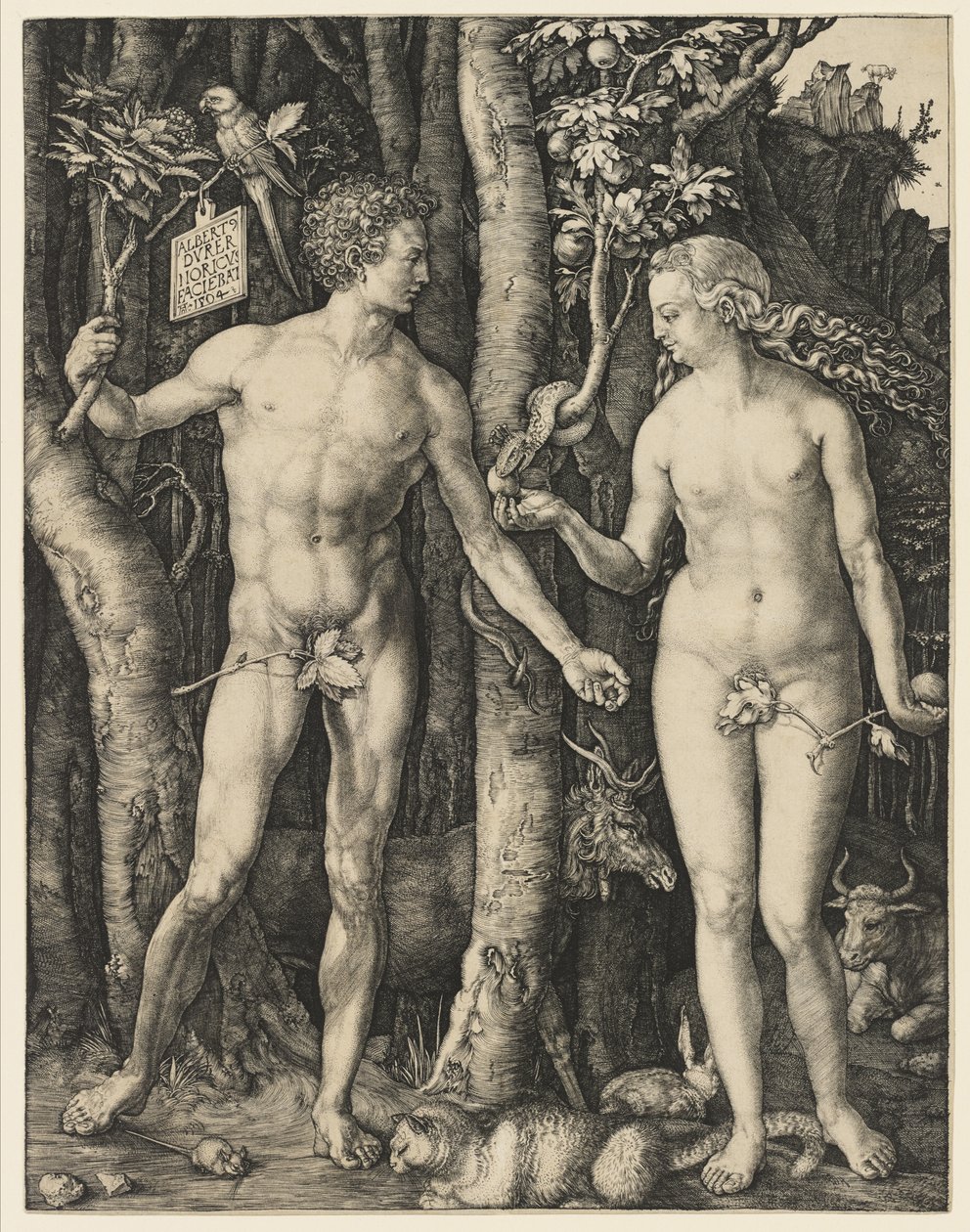 Adam und Eva, 1504 von Albrecht Dürer