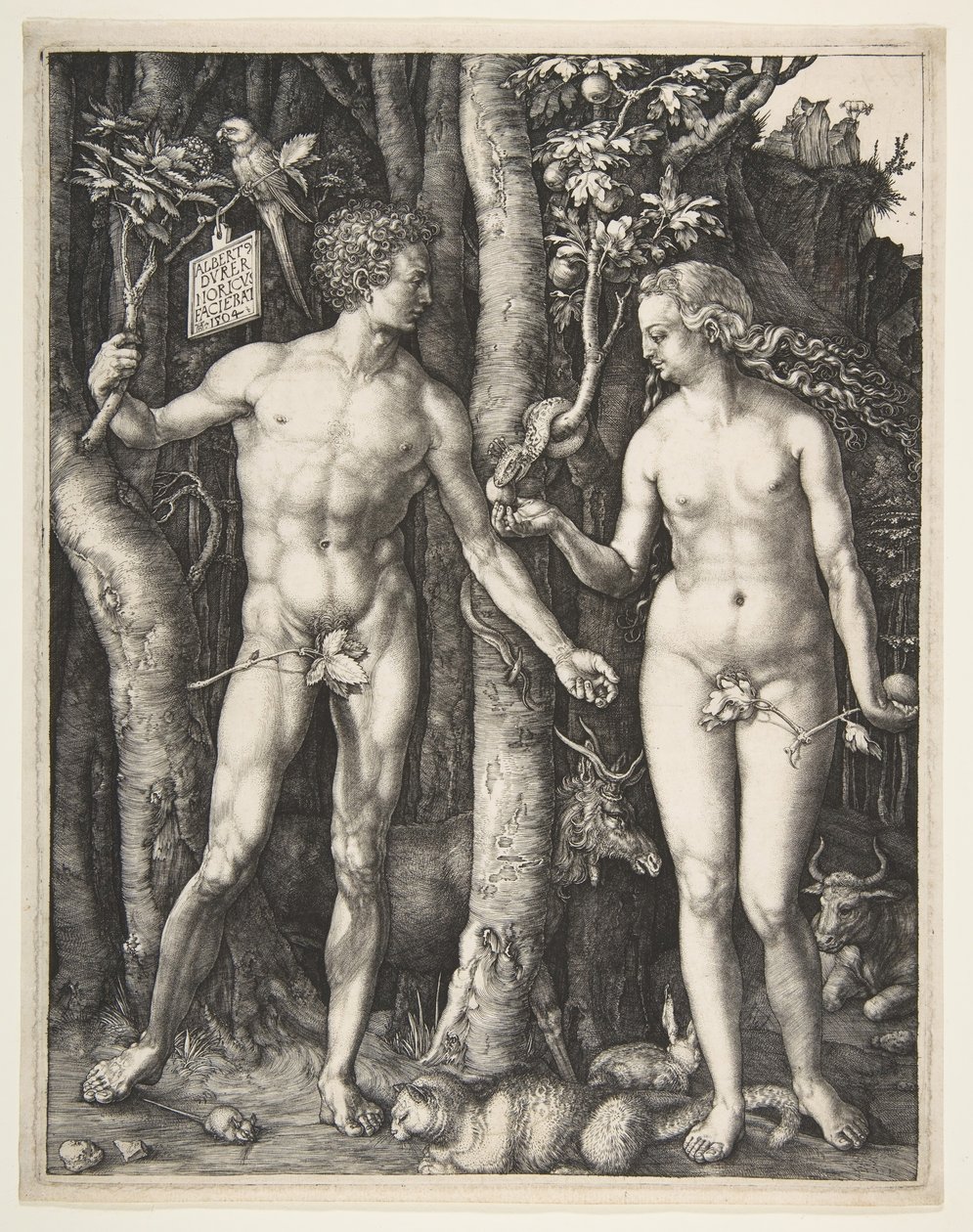 Adam und Eva, 1504 von Albrecht Dürer