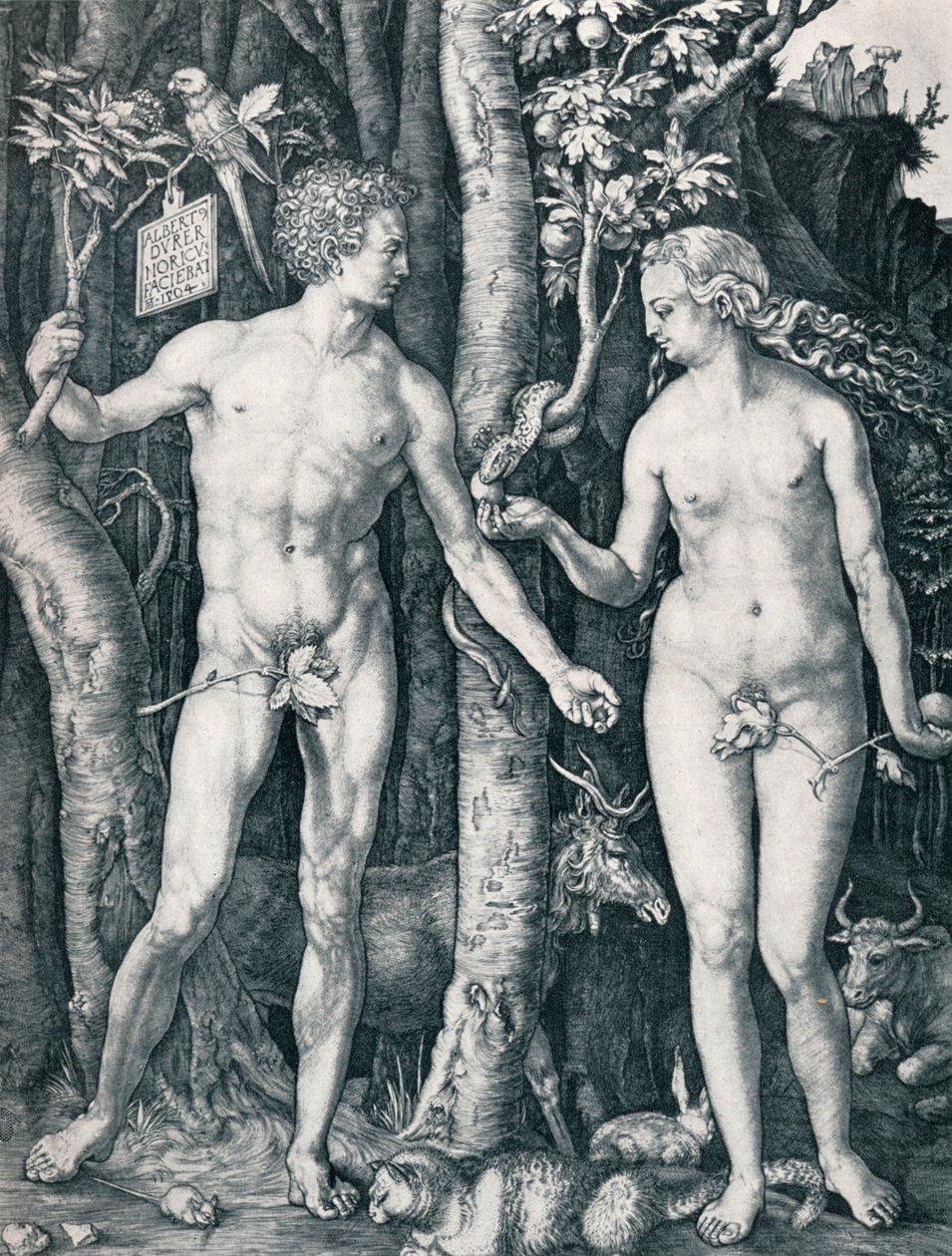 Adam und Eva, 1504 von Albrecht Dürer