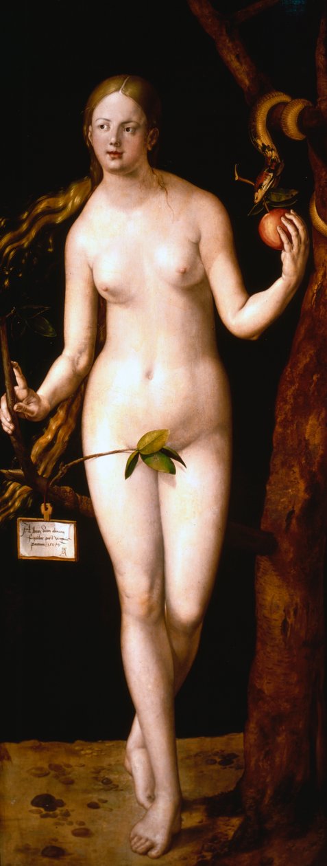 Eva, 1507 von Albrecht Dürer