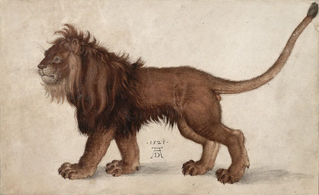 Löwe, 1521 von Albrecht Dürer