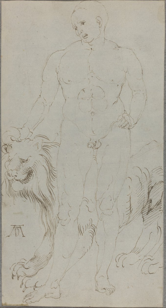 Männlicher Akt mit einem Löwen [verso] von Albrecht Dürer