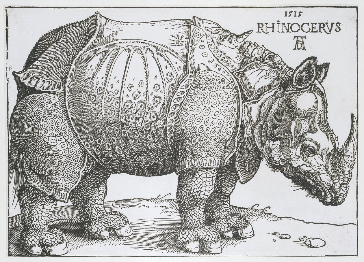 Nashorn von Albrecht Dürer