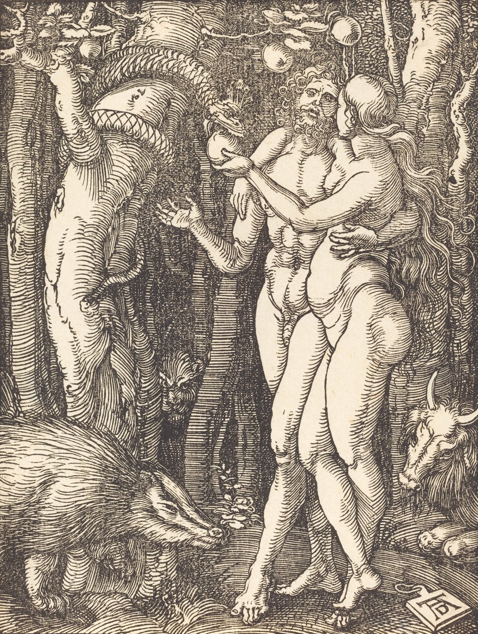 Der Sündenfall, wahrscheinlich um 1509-1510 von Albrecht Dürer