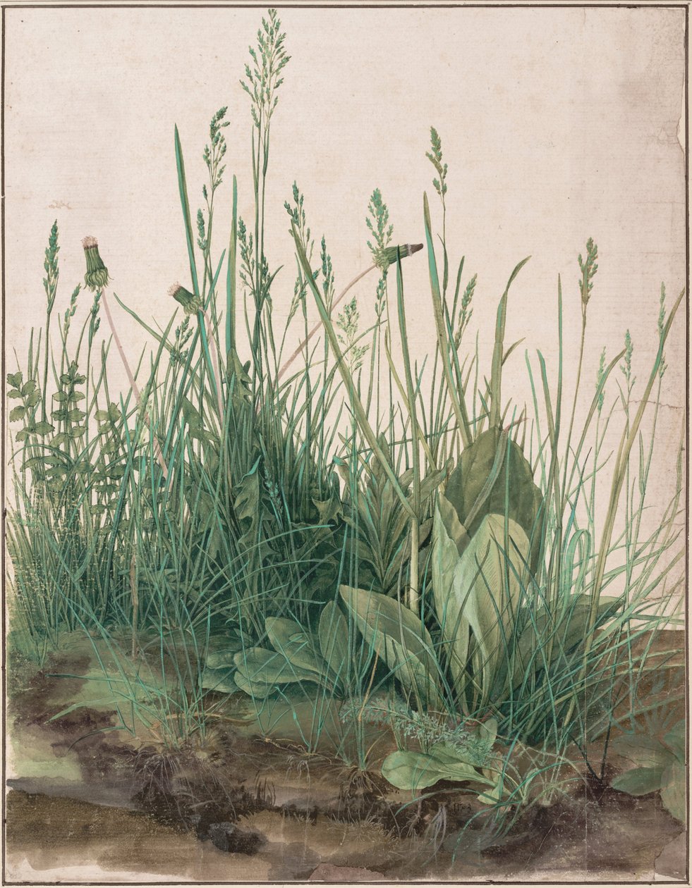 Das große Rasenstück von Albrecht Dürer