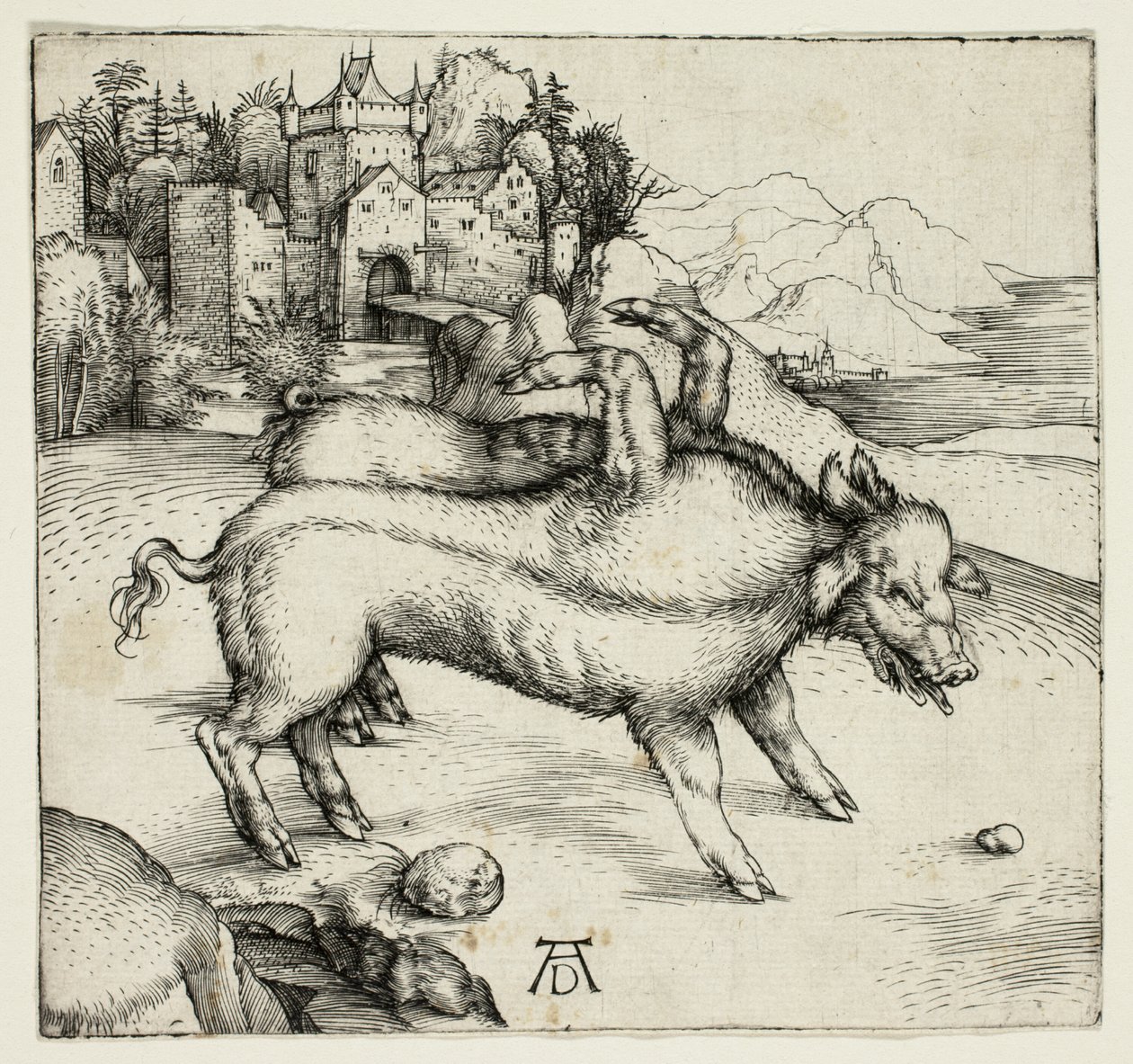 Die monströse Sau von Landser von Albrecht Dürer