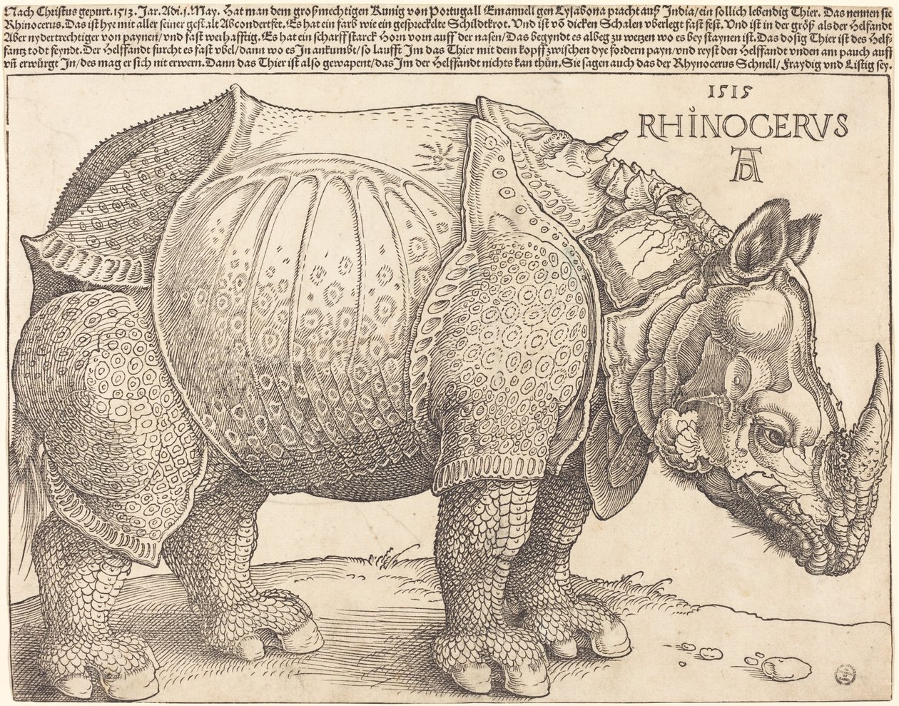 Das Nashorn von Albrecht Dürer